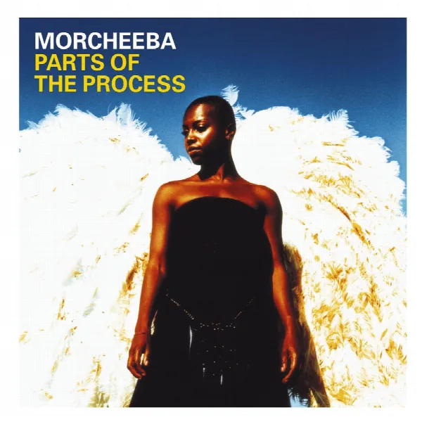 Pochette de Parts of the Process