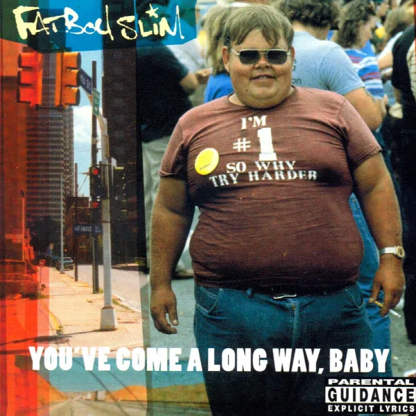Pochette de You've Come a Long Way Baby