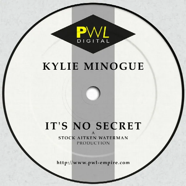 Pochette de It's No Secret