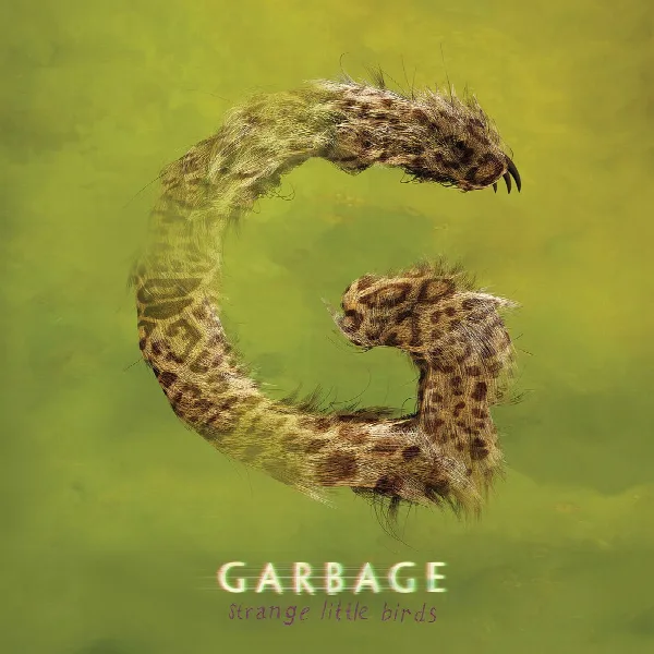 Pochette de Strange Little Birds