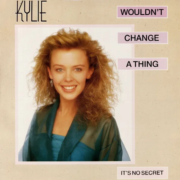 Pochette de Wouldn't Change a Thing