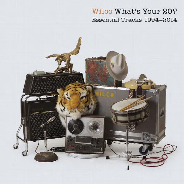 Pochette de What's Your 20? Essential Tracks 1994 - 2014