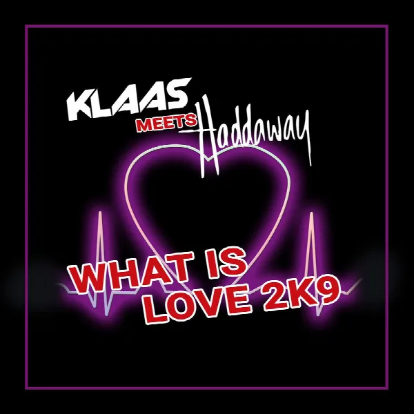 Pochette de What Is Love 2K9