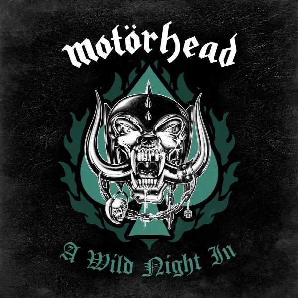 Pochette de A Wild Night In