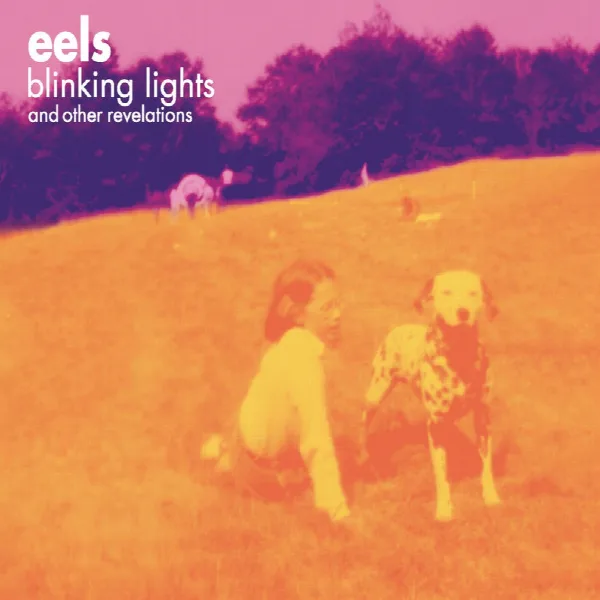 Pochette de Blinking Lights and Other Revelations