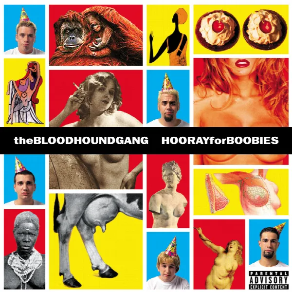 Pochette de Hooray For Boobies
