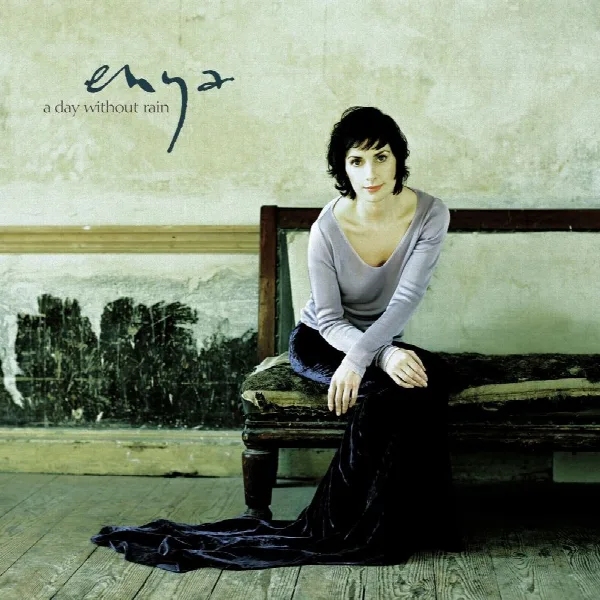 Pochette de A Day Without Rain