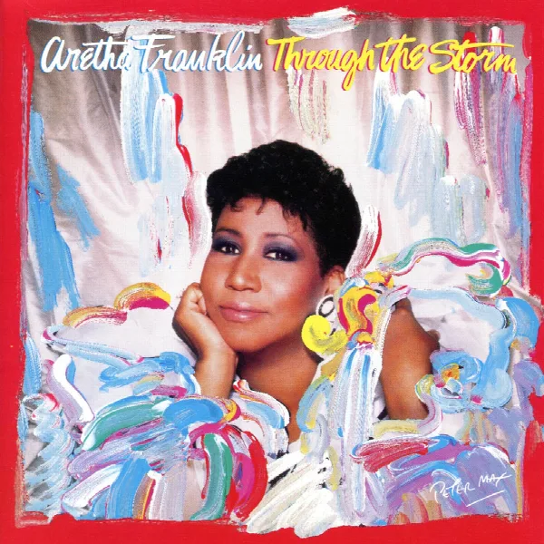 Pochette de Through the Storm