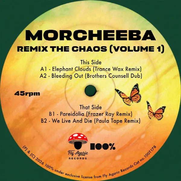 Pochette de Remix The Chaos (Volume 1)