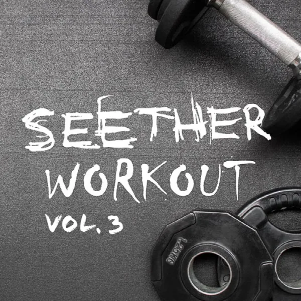 Pochette de Seether Workout Vol. 3