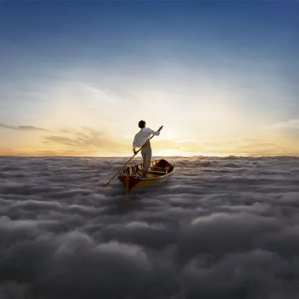 Pochette de The Endless River