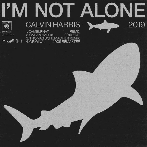 Pochette de I'm Not Alone 2019