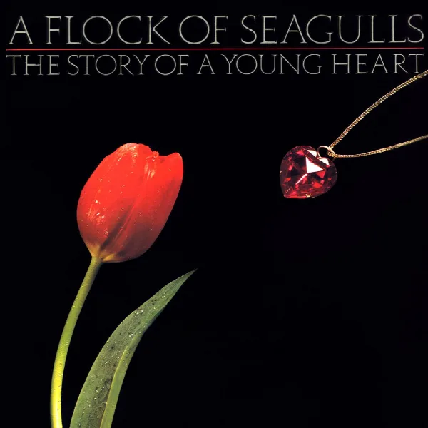 Pochette de The Story of a Young Heart