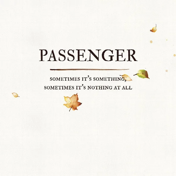 Pochette de Sometimes It's Something, Sometimes It's Nothing at All