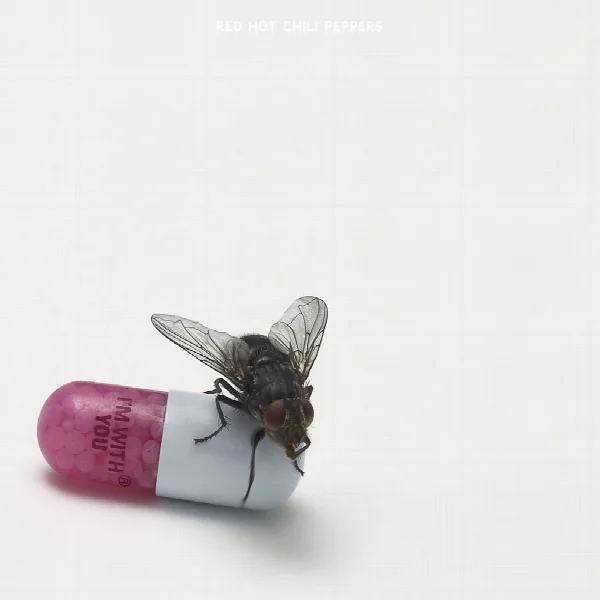 Pochette de The Studio Album Collection 1991 - 2011