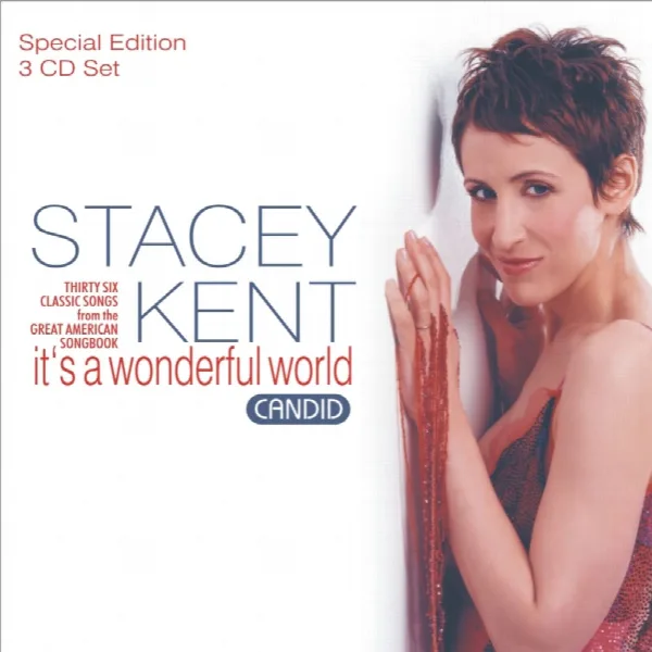 Pochette de It's A Wonderful World