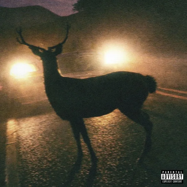 Pochette de Karma