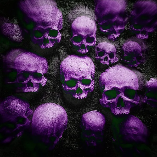 Pochette de Skeletor