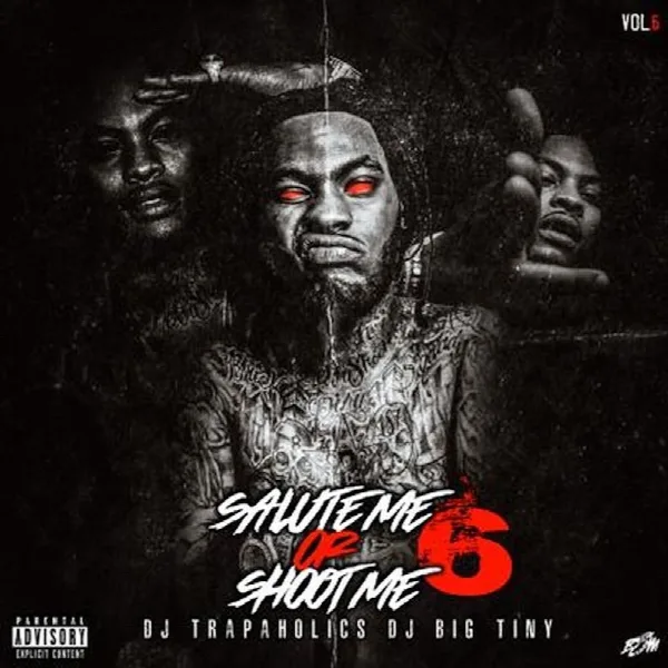Pochette de Salute Me or Shoot Me 6