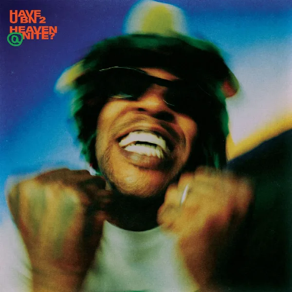 Pochette de HAVE U BN 2 HEAVEN @ NITE?