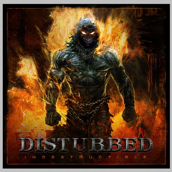 Pochette de Indestructible