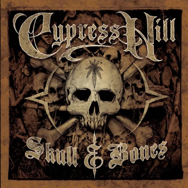 Pochette de Skull & Bones