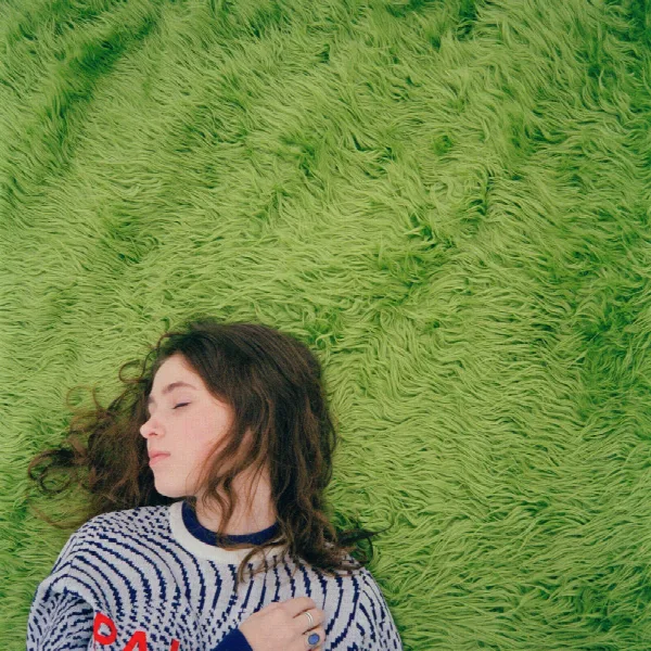 Pochette de diary 001