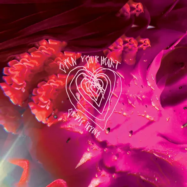 Pochette de Open Your Heart or Die Trying
