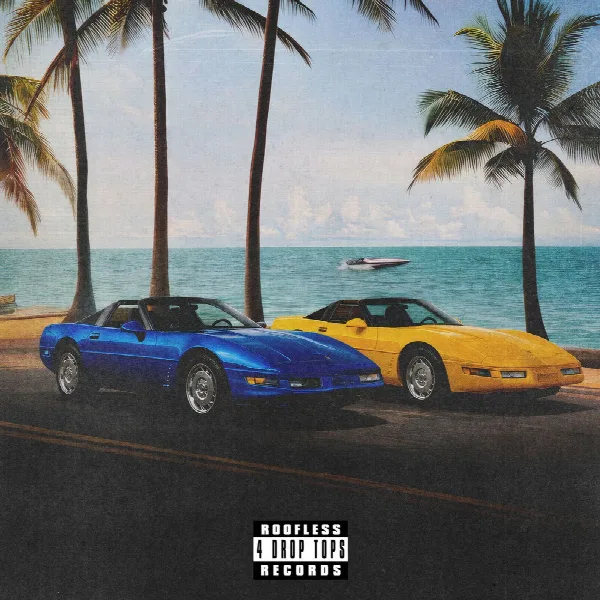 Pochette de Roofless Records For Drop Tops: Disc 2