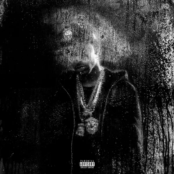 Pochette de Dark Sky Paradise