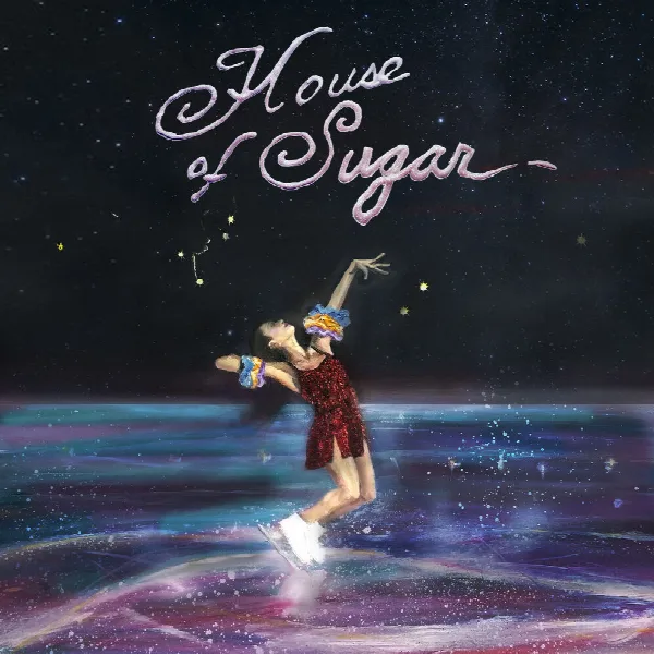 Pochette de House of Sugar