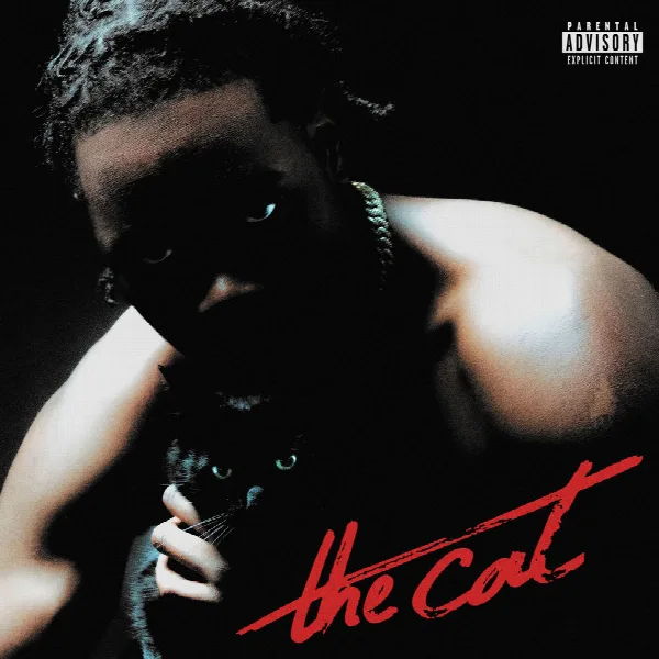 Pochette de The cat