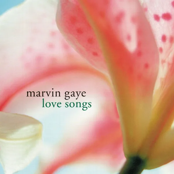 Pochette de Love Songs
