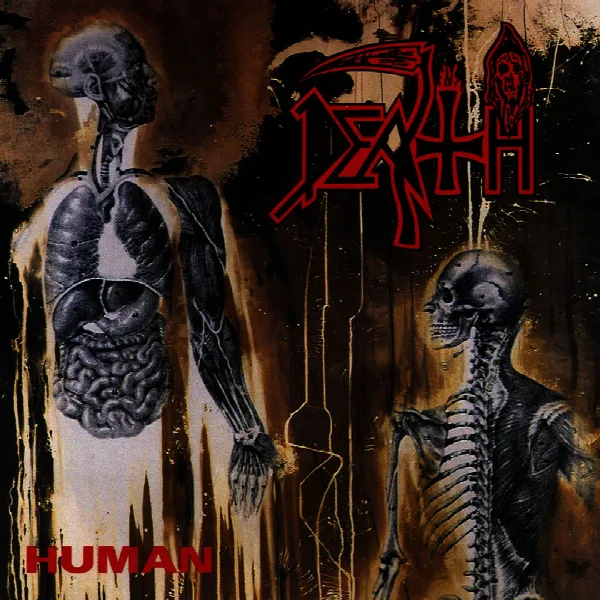 Pochette de Human