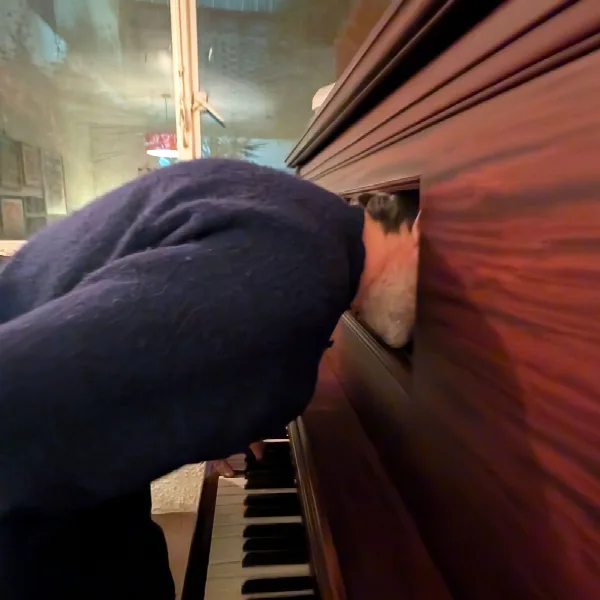 Patrick Watson