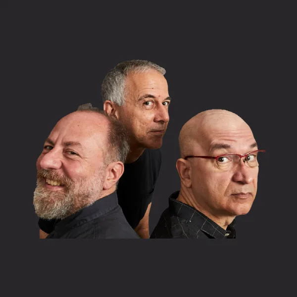 Os Paralamas do Sucesso