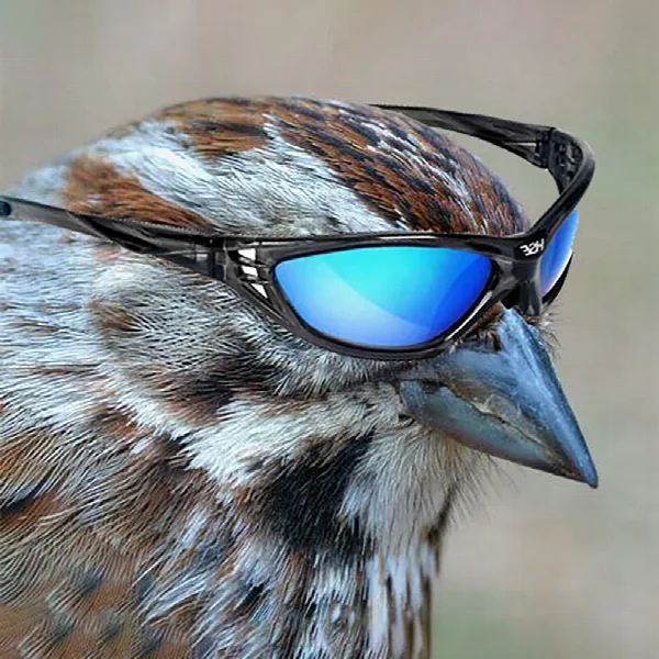 spedup trends